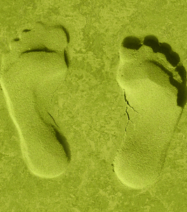 environment feet green sand